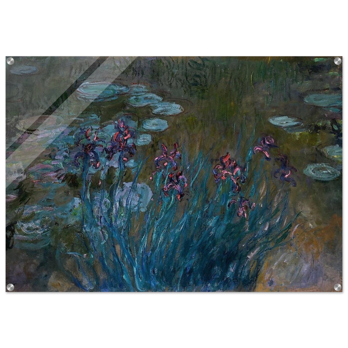 Irises and Water-Lilies - claude monet Acrylic Print - 70x100 cm / 28x40″ inches | claude monet Wall Art | claude monet Prints