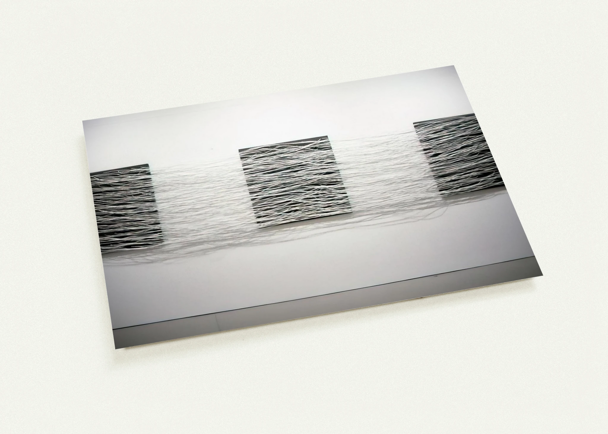 6f727803-902a-4b85-a756-5838b88d59fc