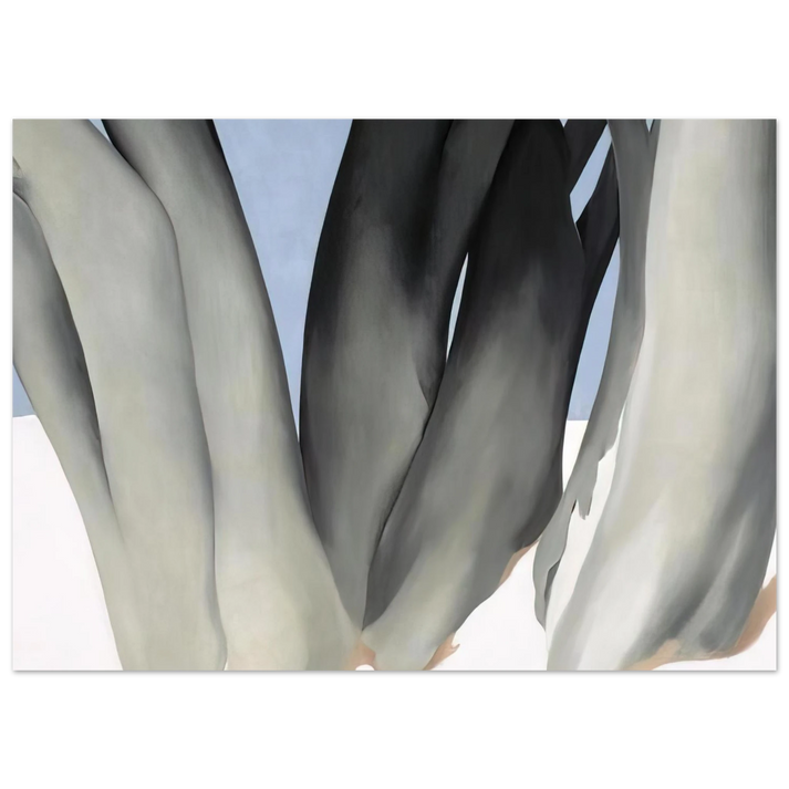 Georgia O'Keeffe - Bare Tree Trunks with Snow Fine Art Poster