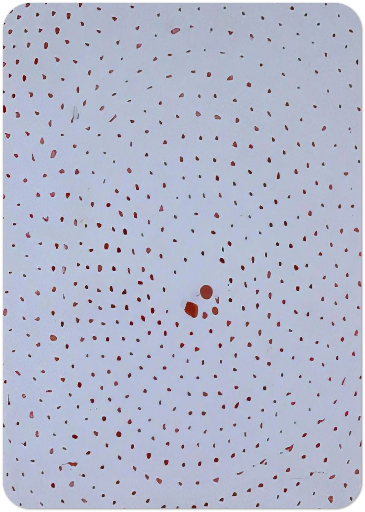 7041bd9b-c24e-42b2-960a-cbc959aee5a8