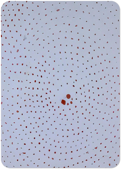 7041bd9b-c24e-42b2-960a-cbc959aee5a8