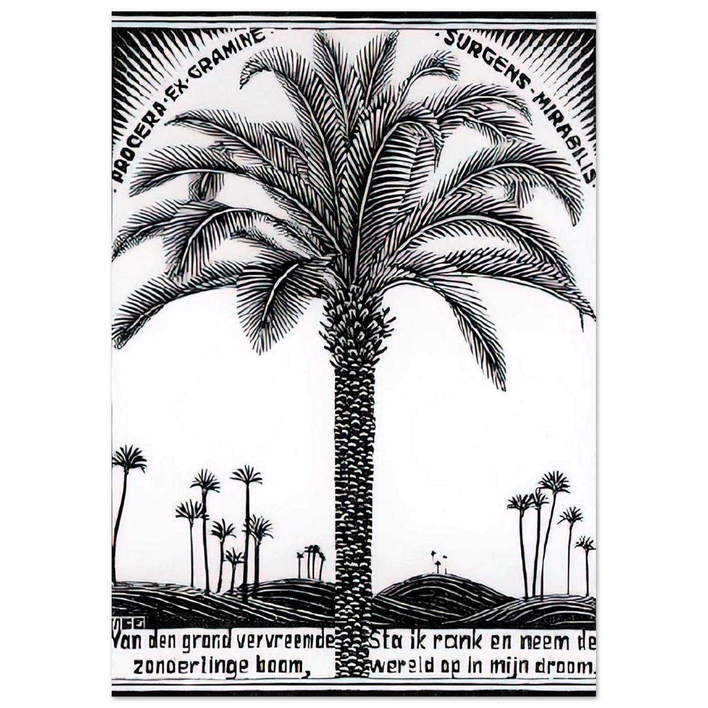 MC Escher - PALM TREE 1 Wall Art - 21x29.7 cm / 8x12" - Premium Wooden Framed Poster With Fine Art Paper - White frame
