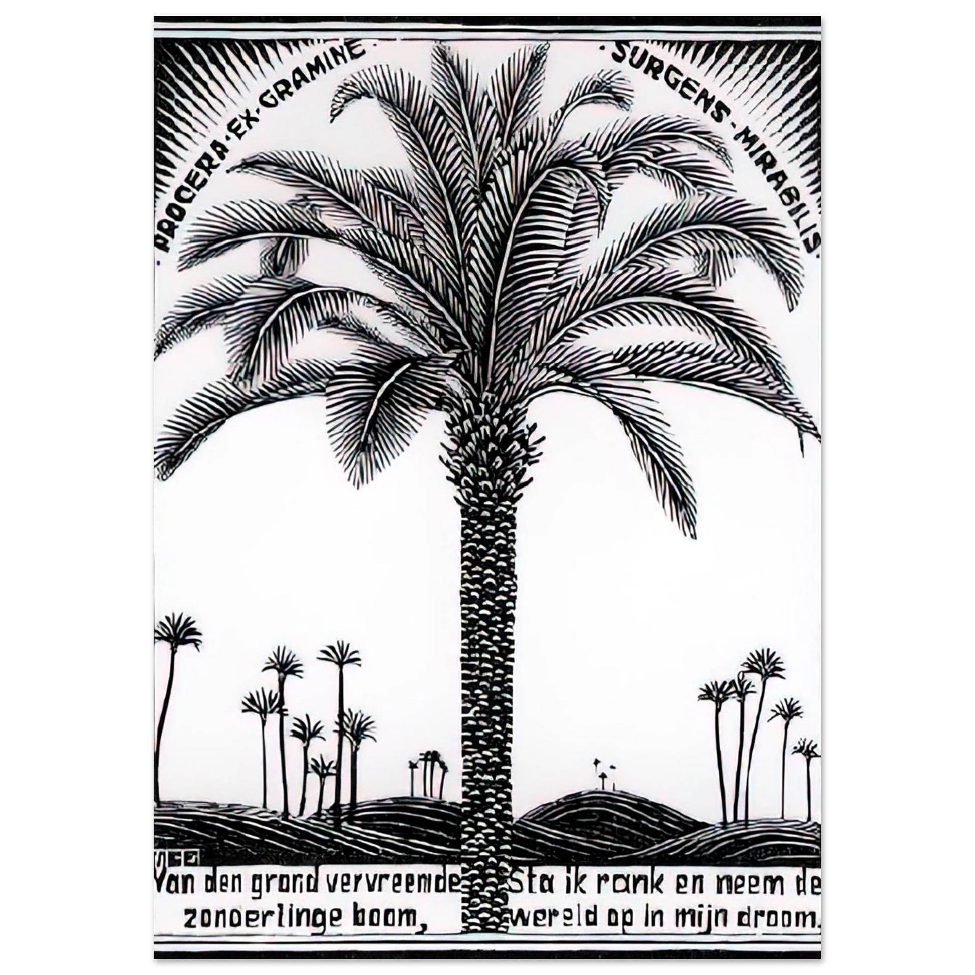 MC Escher - PALM TREE 1 Wall Art - 21x29.7 cm / 8x12" - Premium Wooden Framed Poster With Fine Art Paper - White frame