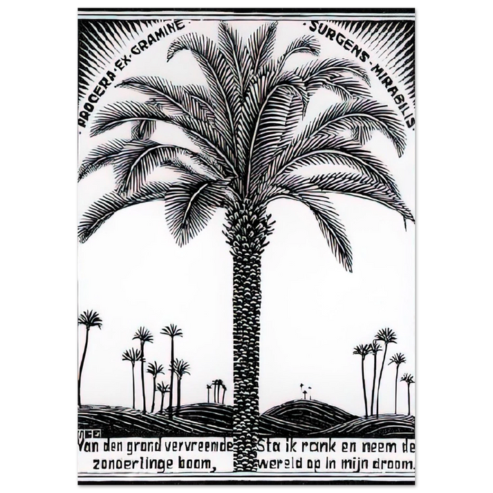 MC Escher - PALM TREE 1 Wall Art - 21x29.7 cm / 8x12" - Premium Wooden Framed Poster With Fine Art Paper-canvas - White frame