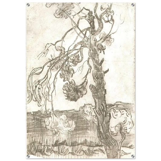 A Weather-Beaten Pine Tree - Vincent van Gogh Acrylic Print - 70x100 cm / 28x40″ inches | Vincent van Gogh Wall Art | Vincent van Gogh Prints