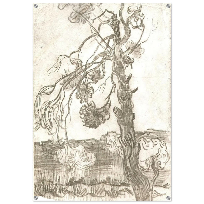 A Weather-Beaten Pine Tree - Vincent van Gogh Acrylic Print - 70x100 cm / 28x40″ inches | Vincent van Gogh Wall Art | Vincent van Gogh Prints