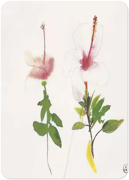 707fb333-b343-4ffc-9fa6-51d4cb023d73