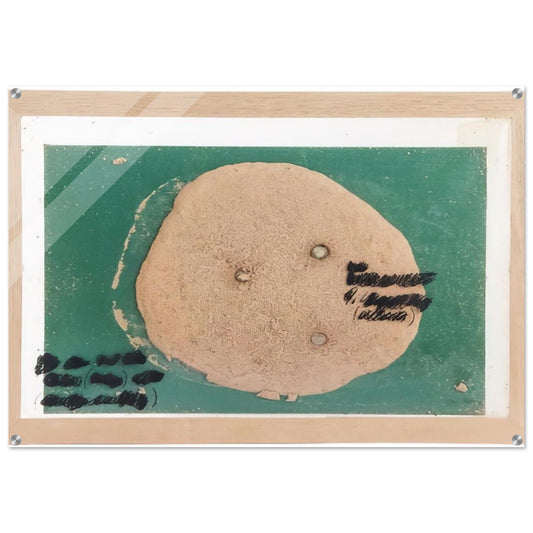 7085d0d5-4008-42f5-8b34-a98e4f640392