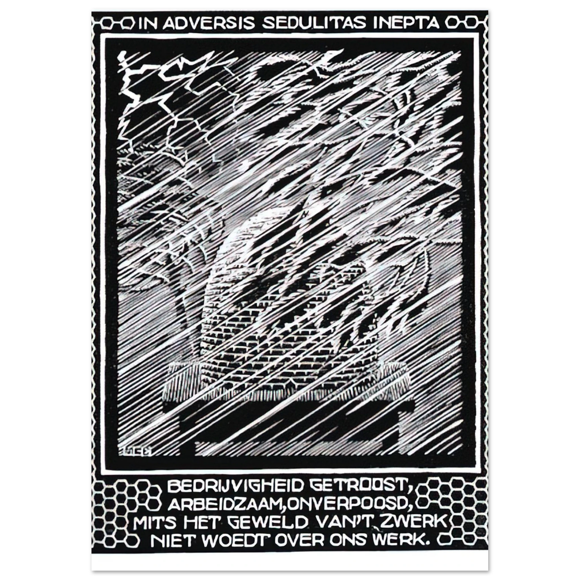 MC Escher - EMBLEMATA BEEHIVE Wall Art - 60x80 cm / 24x32 inches - Premium Wooden Framed Poster With Fine Art Paper - White frame