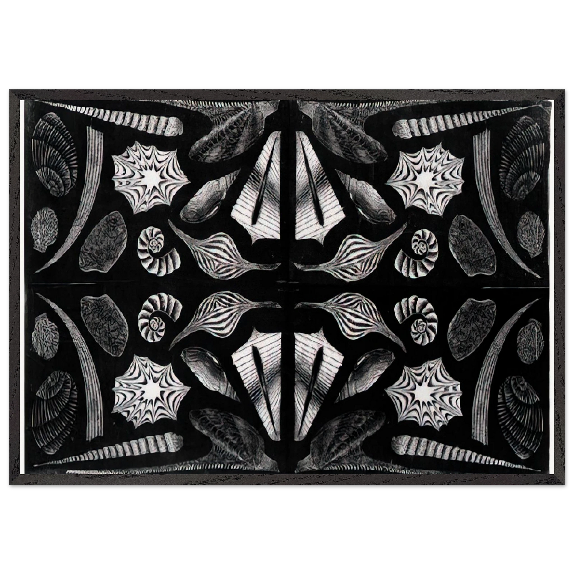 ESCHER 5 - MC Escher Framed Art Print – Black Wooden Frame - Default Title - -Framed Art Print