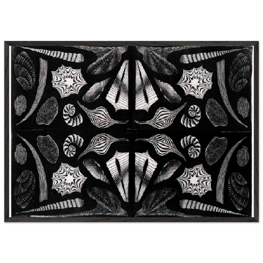ESCHER 5 - MC Escher Framed Art Print – Black Wooden Frame - Default Title - -Framed Art Print