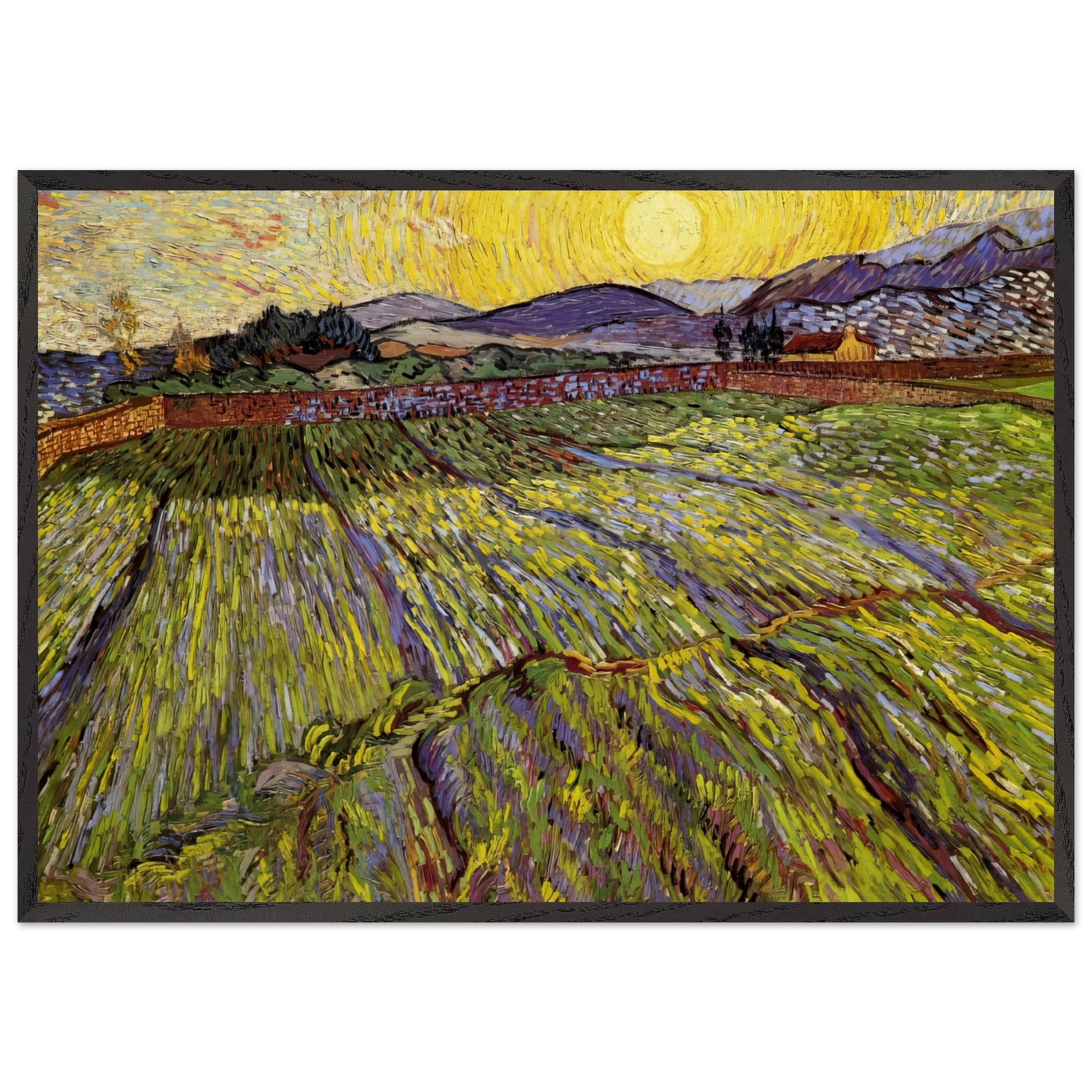 Enclosed field with rising sun - Vincent van Gogh Framed Art Print – Black Wooden Frame - Default Title - -Framed Art Print