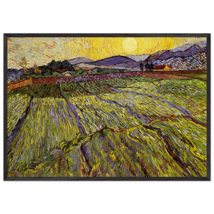 Enclosed field with rising sun - Vincent van Gogh 70x100 cm / 28x40 inches Framed Art Print – Black Wooden Frame