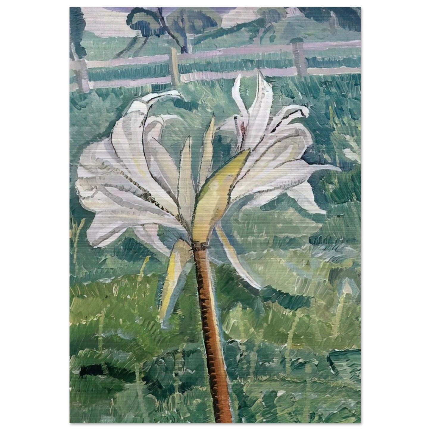 Lily growing in a field by the sea - 1927 - Grace Cossington Smith Brushed Aluminum Print - 70x100 cm / 28x40 inches | Grace Cossington Smith Aluminum Print | Grace Cossington Smith Prints