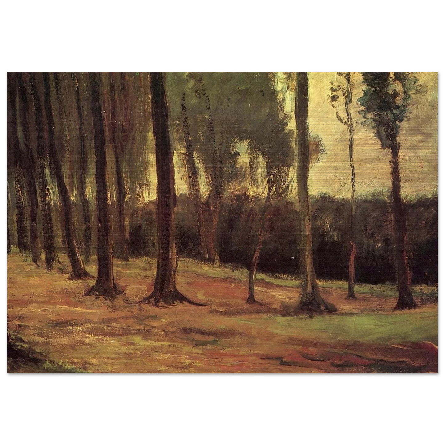 Edge of a Wood - Vincent van Gogh Brushed Aluminum Print - 70x100 cm / 28x40 inches | Vincent van Gogh Aluminum Print | Vincent van Gogh Prints