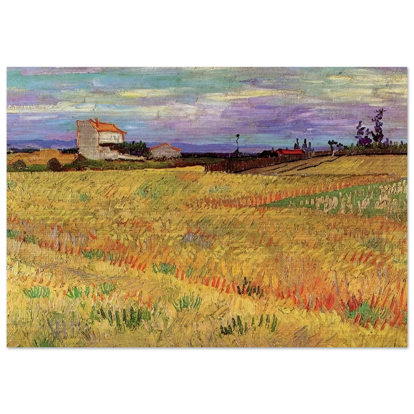 Wheat Field - Vincent van Gogh Brushed Aluminum Print - 70x100 cm / 28x40 inches | Vincent van Gogh Aluminum Print | Vincent van Gogh Prints