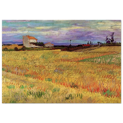 Wheat Field - Vincent van Gogh Brushed Aluminum Print - 70x100 cm / 28x40 inches | Vincent van Gogh Aluminum Print | Vincent van Gogh Prints