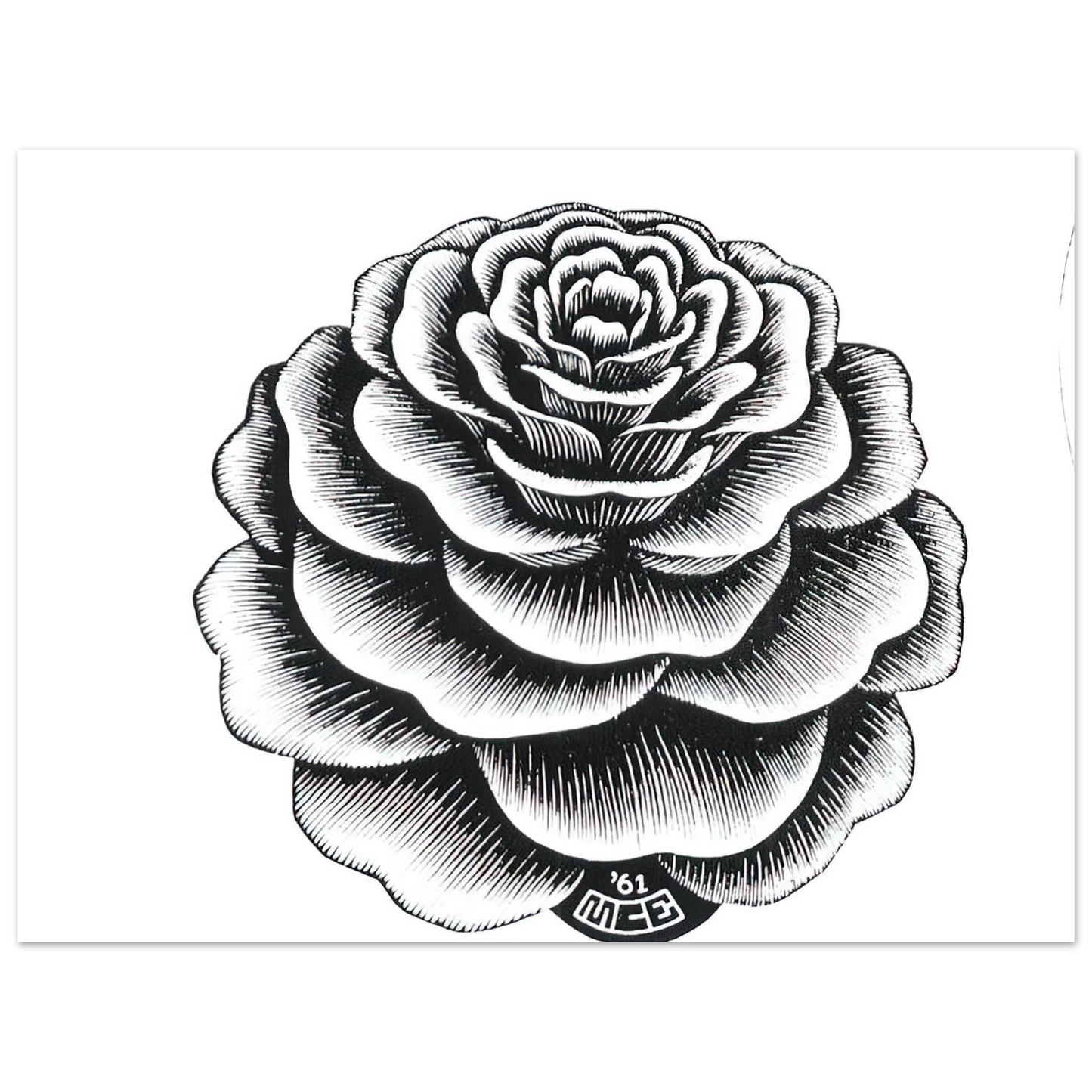 MC Escher - FLOWER 1 Wall Art - 21x29.7 cm / 8x12" - Fine Art Poster - -