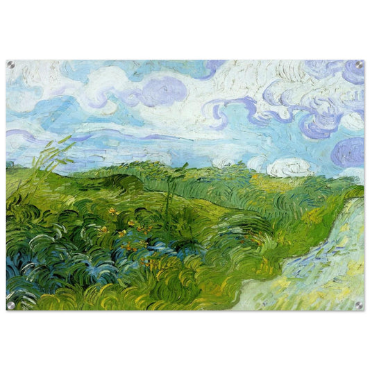 Green Wheat Fields - Vincent van Gogh Acrylic Print - 70x100 cm / 28x40″ inches