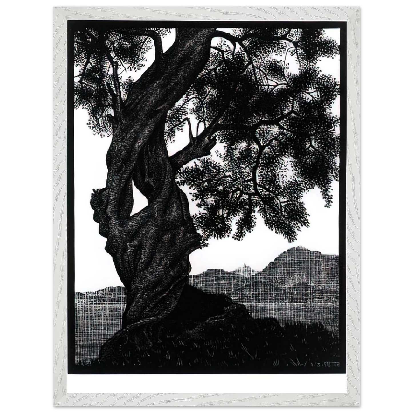 MC Escher - OLD OLIVE TREE CORSICA Wall Art - 60x80 cm / 24x32 inches - Premium Wooden Framed Poster With Fine Art Paper - Black frame