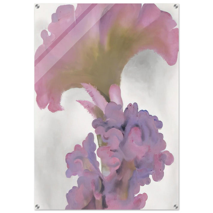 Coxcomb - Georgia O'Keeffe Acrylic Print - 70x100 cm / 28x40″ inches