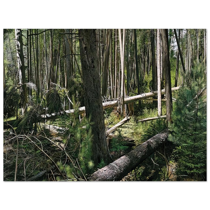 Richard Estes - NEAR HUNTERS BEACH ACADIA NATIONAL PARK 2008  75x100 cm / 30x40inches Fine Art Poster