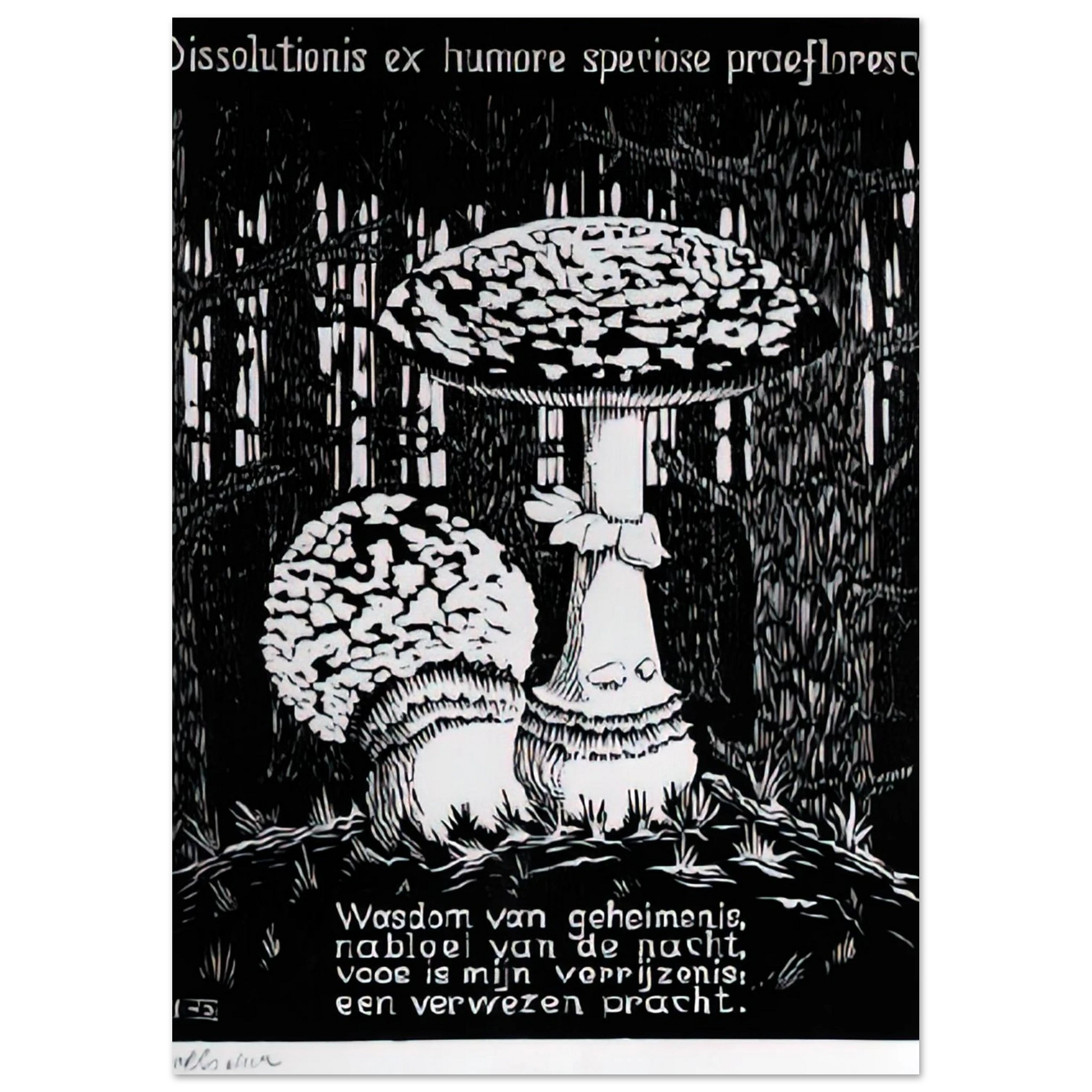 MC Escher - EMBLEMATA TOADSTOOL Wall Art - 30x40 cm / 12x16 inches - Fine Art Poster - -