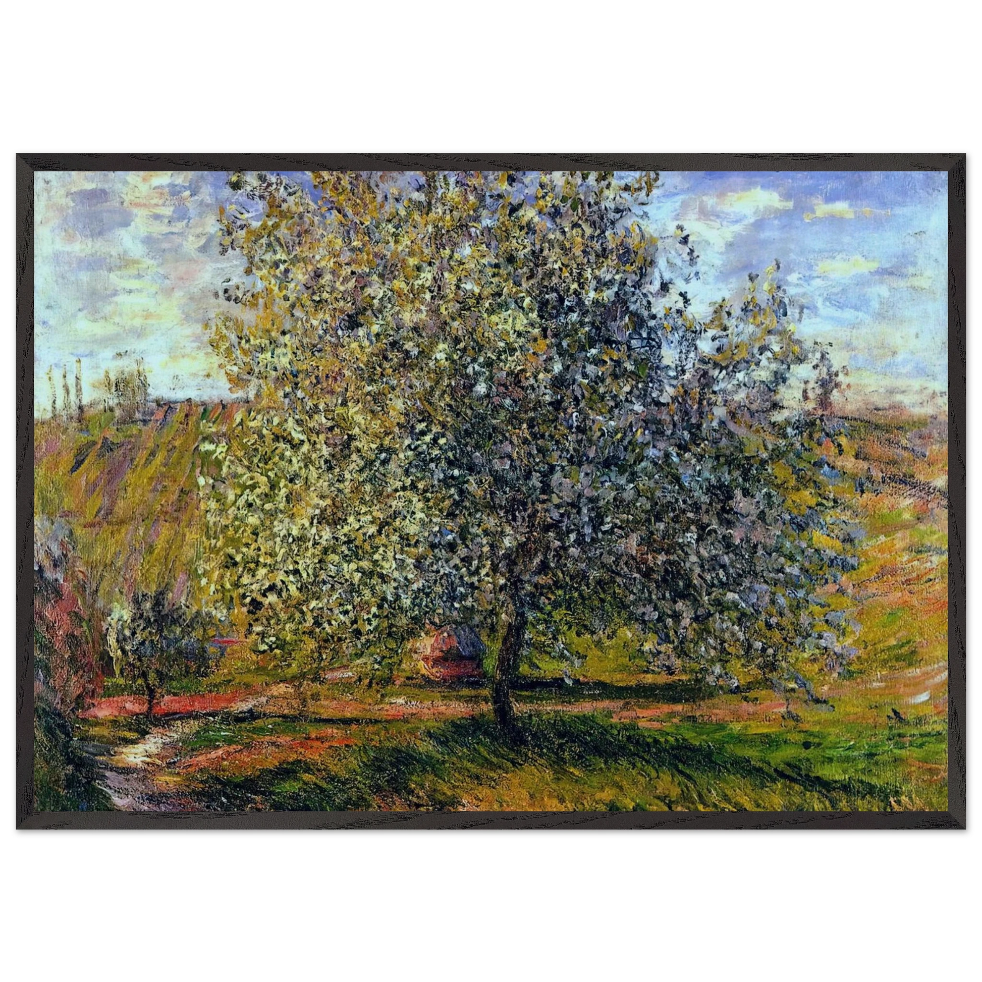 Tree in Flower near Vetheuil - claude monet Framed Art Print – Black Wooden Frame - Default Title - -Framed Art Print