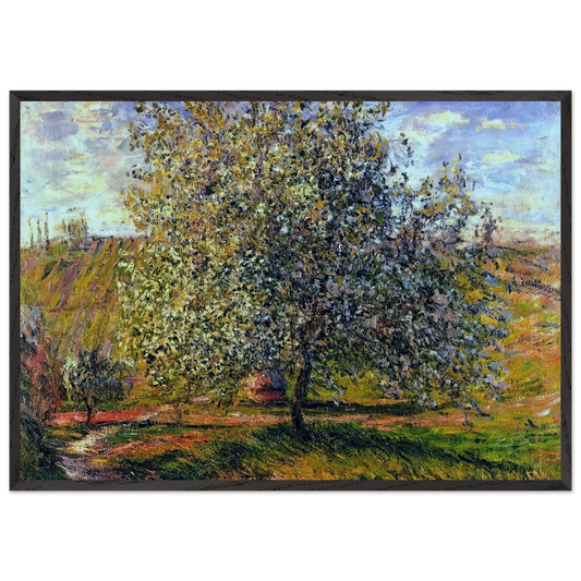 Tree in Flower near Vetheuil - claude monet Framed Art Print – Black Wooden Frame - Default Title - -Framed Art Print