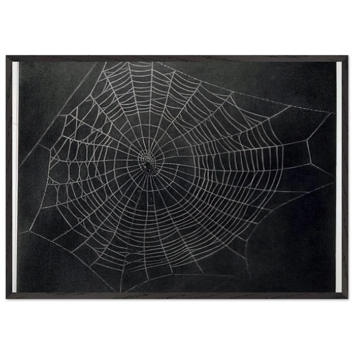 UNTITLED SPIDER WEB 2000 - Vija Celmins Framed Art Print – Black Wooden Frame - Default Title - -Framed Art Print