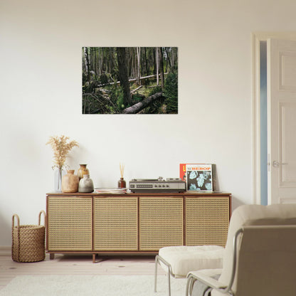 77866926-ea96-415d-8337-a85473f0ecc9