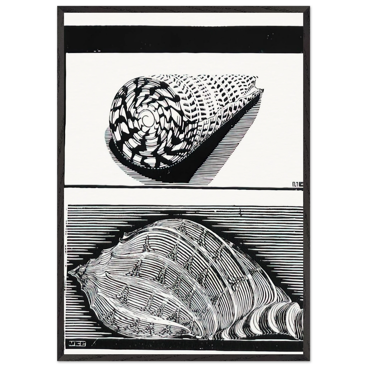 SEA SHELLS - MC Escher Framed Art Print – Black Wooden Frame - Default Title - -Framed Art Print