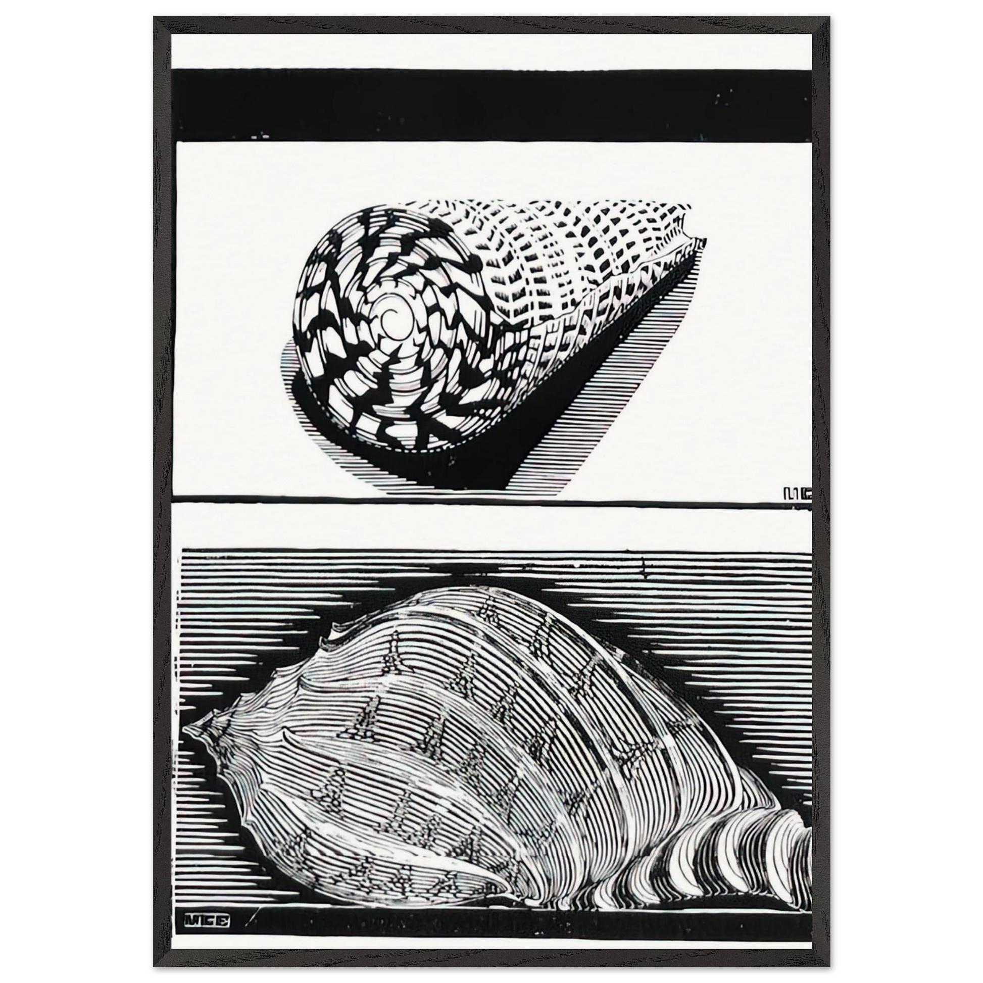 SEA SHELLS - MC Escher Framed Art Print – Black Wooden Frame - Default Title - -Framed Art Print