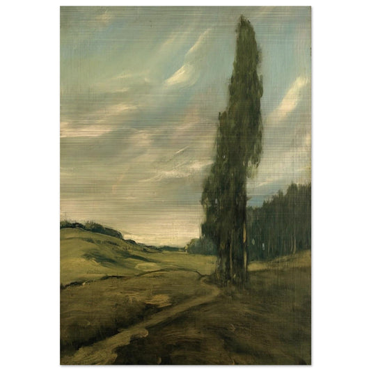 Contra Costa Landscape - Tonalism - Xavier Martinez Brushed Aluminum Print - 70x100 cm / 28x40 inches | Xavier Martinez Aluminum Print | Xavier Martinez Prints