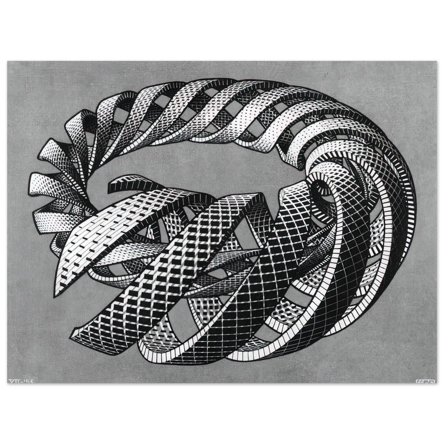 MC Escher - SPIRALS Wall Art - 21x29.7 cm / 8x12" - Fine Art Poster - -