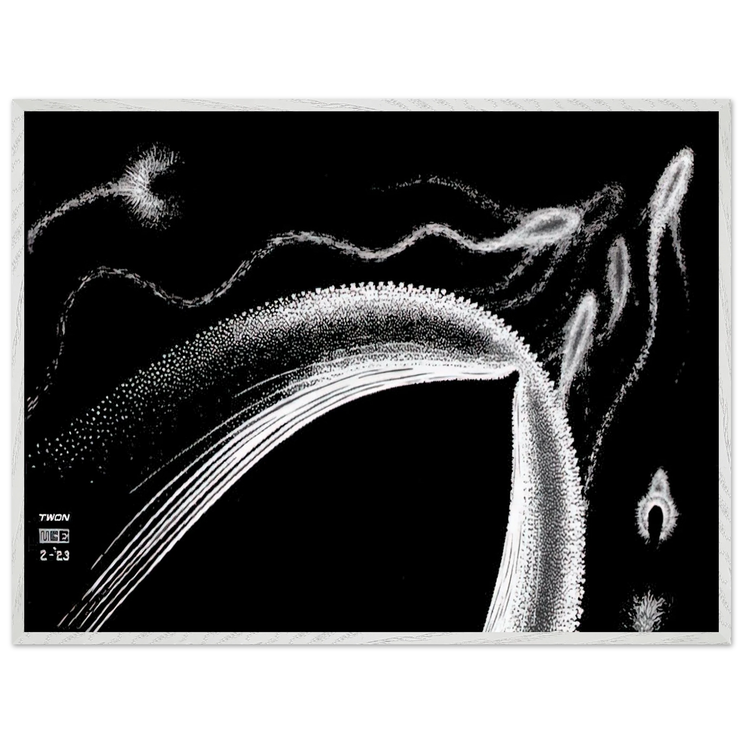 MC Escher - DOLPHINS Wall Art - 21x29.7 cm / 8x12" - Premium Wooden Framed Poster With Fine Art Paper - White frame