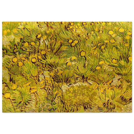 A Field of Yellow Flowers - Vincent van Gogh Brushed Aluminum Print - 70x100 cm / 28x40 inches | Vincent van Gogh Aluminum Print | Vincent van Gogh Prints