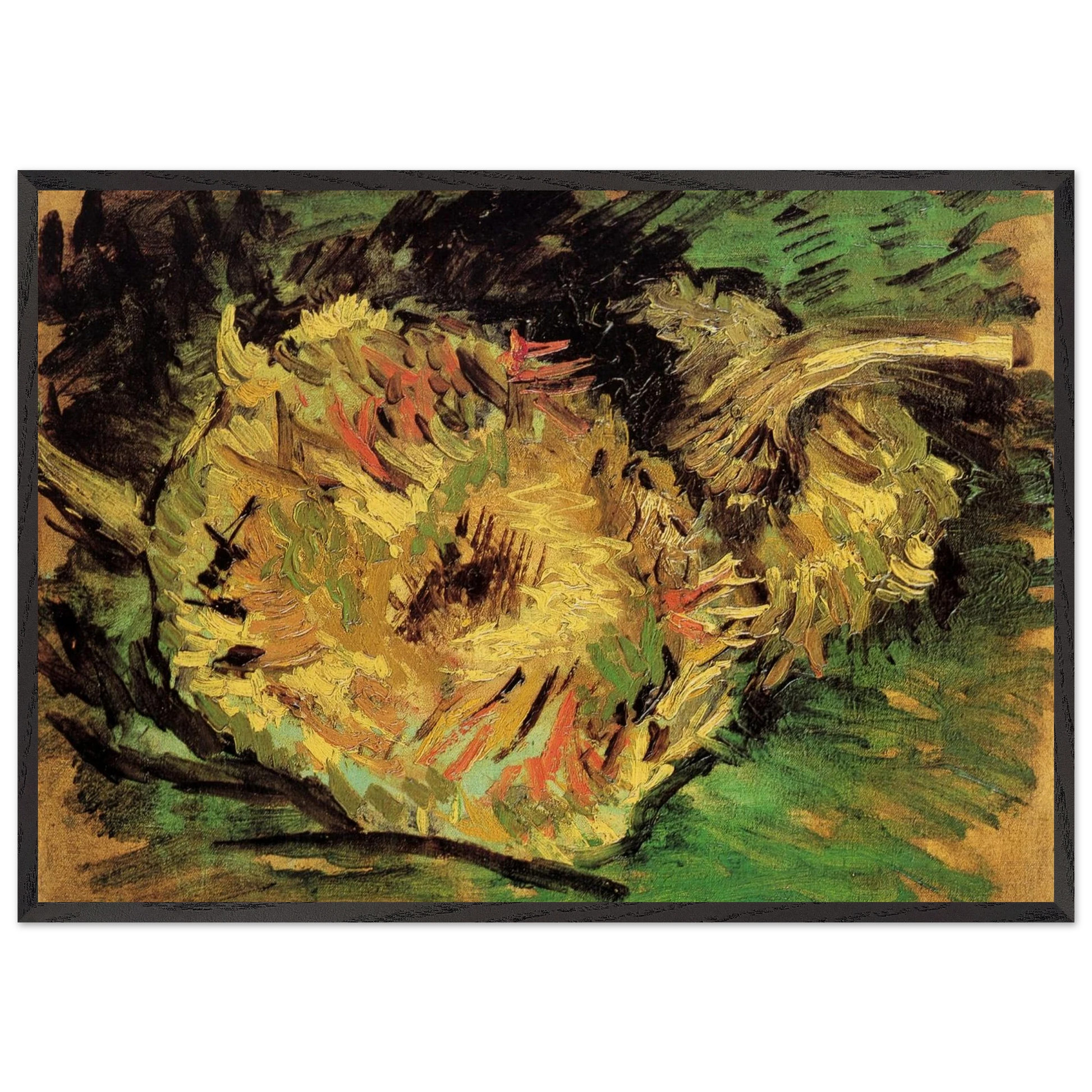Two Cut Sunflowers - Vincent van Gogh Framed Art Print – Black Wooden Frame - Default Title - -Framed Art Print