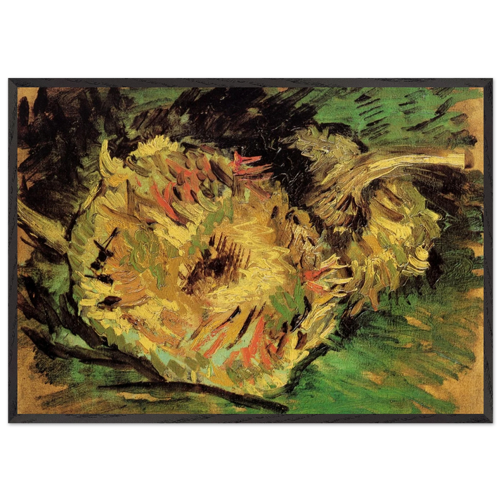 Two Cut Sunflowers - Vincent van Gogh 70x100 cm / 28x40 inches Framed Art Print – Black Wooden Frame