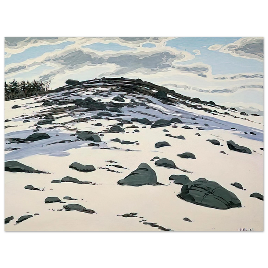 Neil Welliver - Shadow on Frankfort Barren - 1982 Fine Art Poster - Default Title