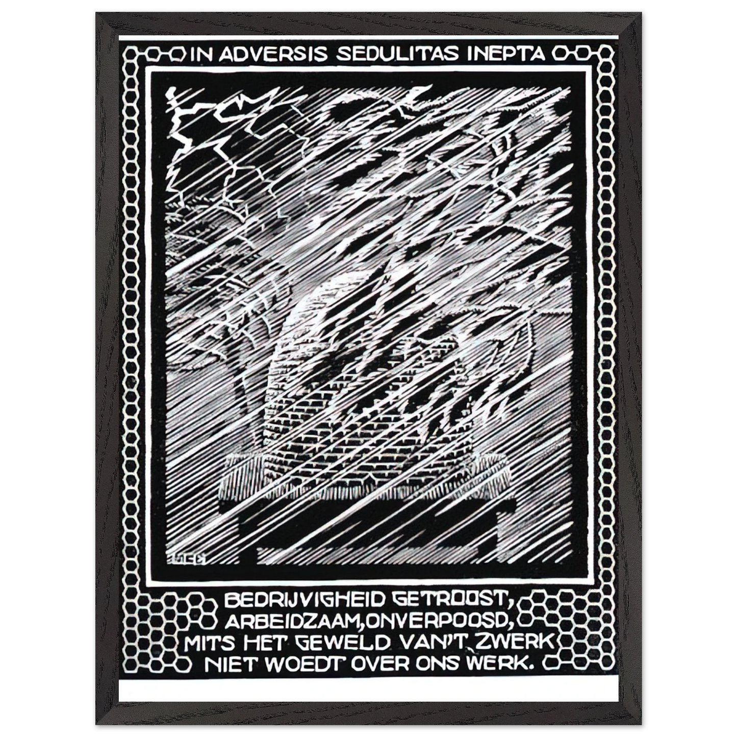MC Escher - EMBLEMATA BEEHIVE Wall Art - 30x40 cm / 12x16 inches - Premium Wooden Framed Poster With Fine Art Paper - Black frame