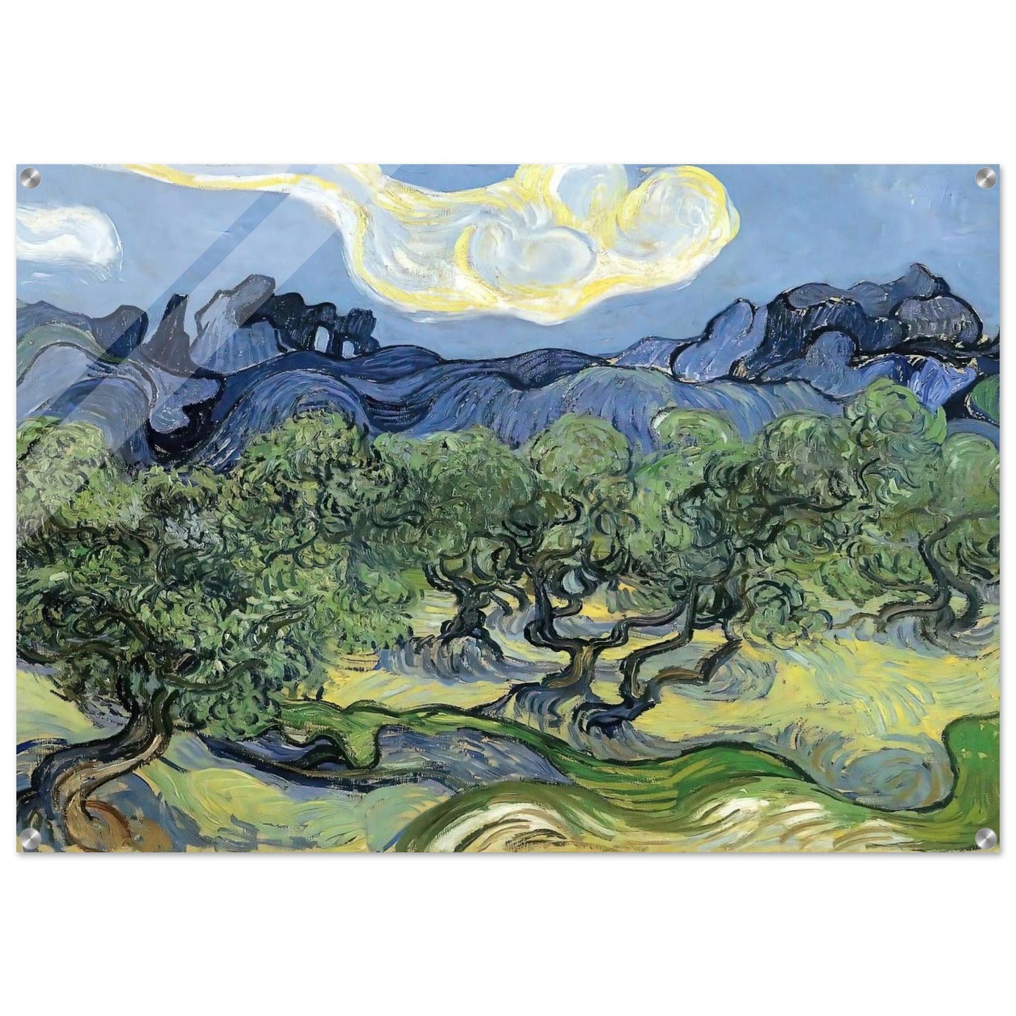 The Alpilles with Olive Trees in the Foreground - Vincent van Gogh Acrylic Print - 70x100 cm / 28x40″ inches | Vincent van Gogh Wall Art | Vincent van Gogh Prints