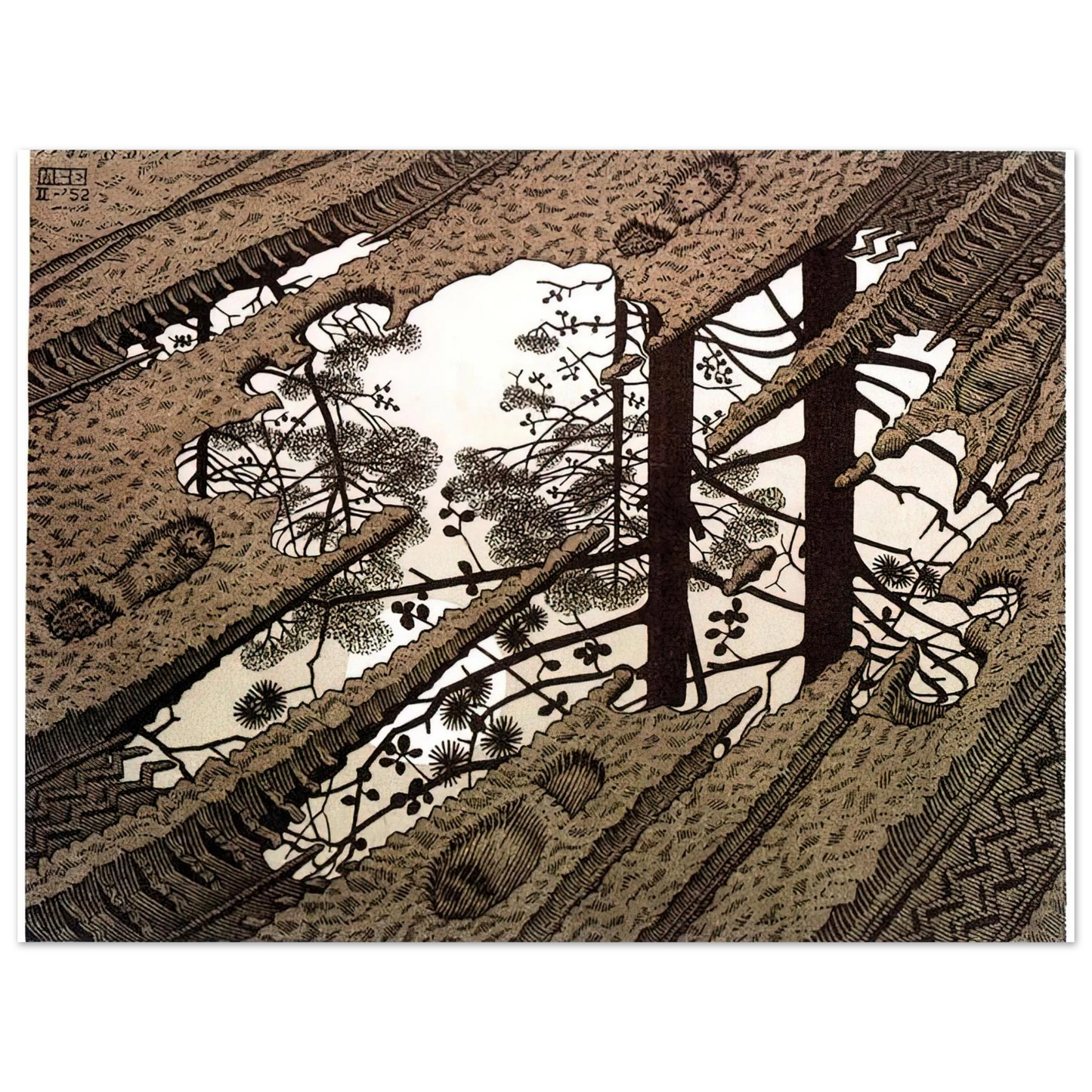 MC Escher - PUDDLE Wall Art - 21x29.7 cm / 8x12" - Fine Art Poster - -