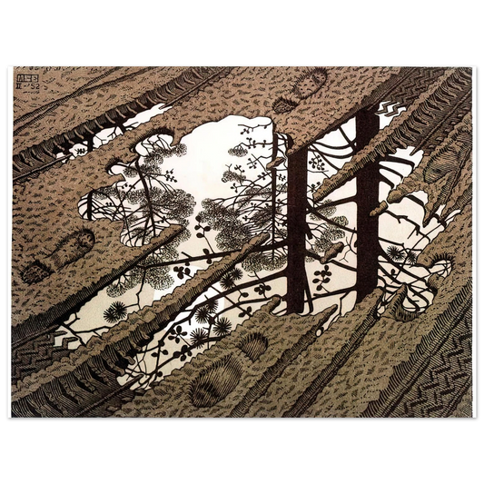 MC Escher - PUDDLE Wall Art - 21x29.7 cm / 8x12" - Fine Art Poster - -
