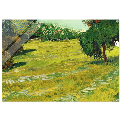 Garden with Weeping Willow - Vincent van Gogh Acrylic Print - 70x100 cm / 28x40″ inches