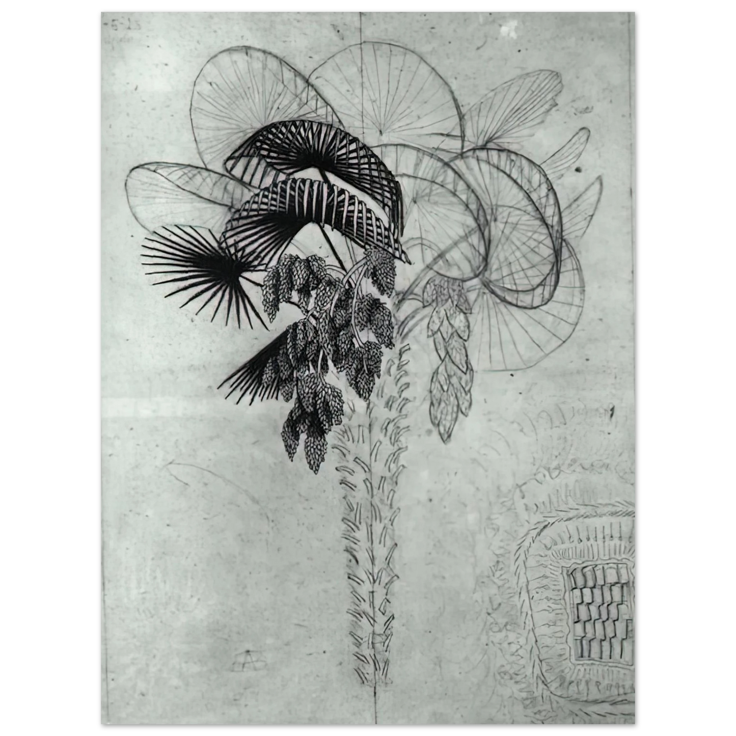 MC Escher - PALM TREE SKETCH Wall Art - 21x29.7 cm / 8x12" - Premium Wooden Framed Poster With Fine Art Paper - White frame