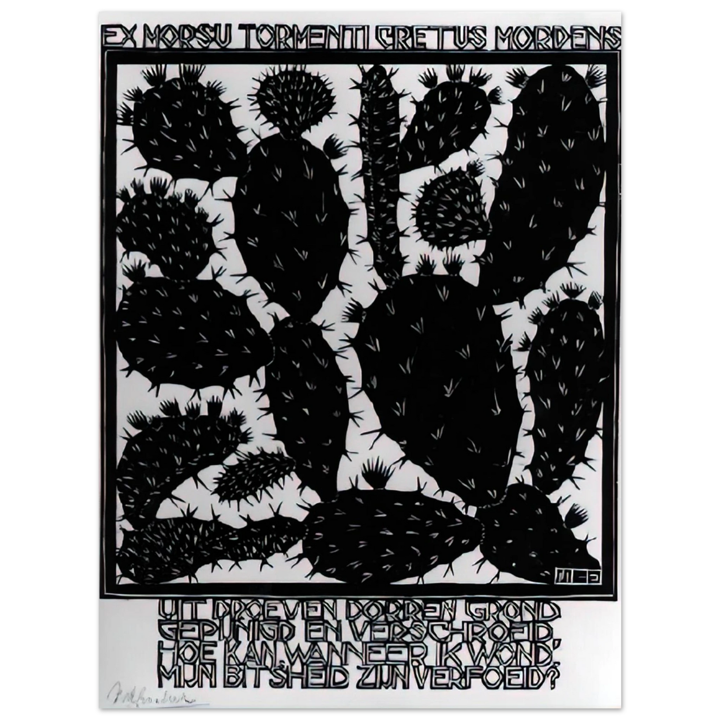 MC Escher - EMBLEMATA CACTUS Wall Art - 21x29.7 cm / 8x12" - Fine Art Poster - -