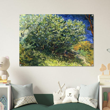 Lilac Bush - Vincent van Gogh Acrylic Print - 70x100 cm / 28x40″ inches