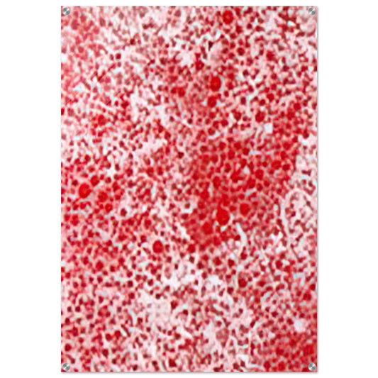 BEYOND THE END OF THE CENTURY 1987 - Yayoi Kusama Acrylic Print - 70x100 cm / 28x40″ inches