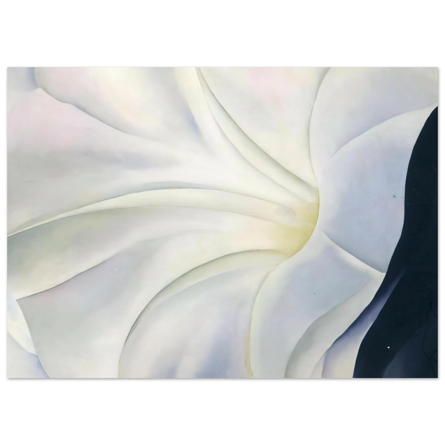 Georgia O'Keeffe - Morning Glory with Black Fine Art Poster - 40x60 cm / 16x24 inches